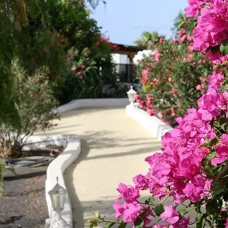 Casa Rosas By Buenavilla Ferienhaus