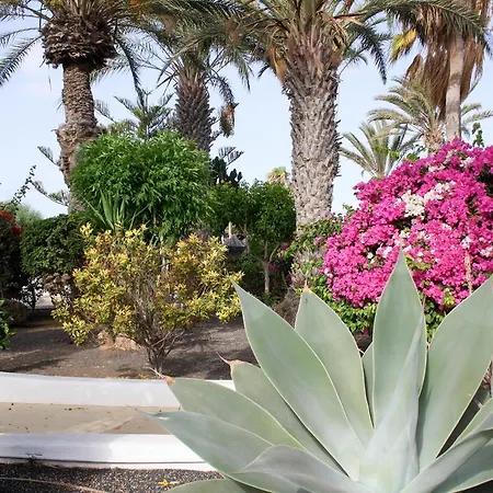 Casa Rosas By Buenavilla Ferienhaus *